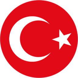A Milli Takım
